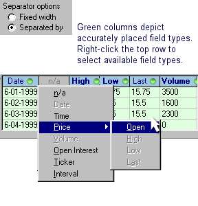 Separator Option: Delimited Fields